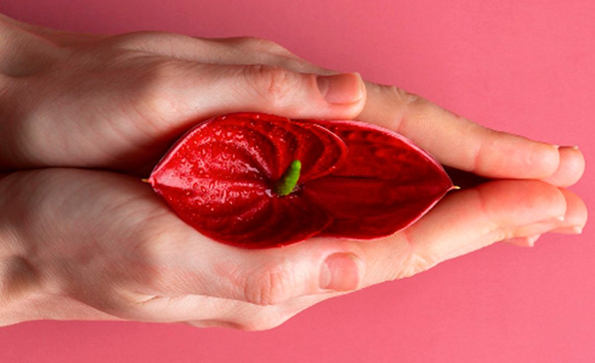 Ninfoplastia Preço: Tudo Sobre o Procedimento e Investimento | Dra. Nathalia Borio